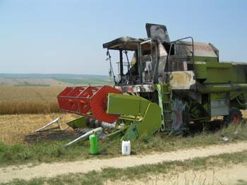 Brand12
